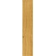 Dub Zlatý